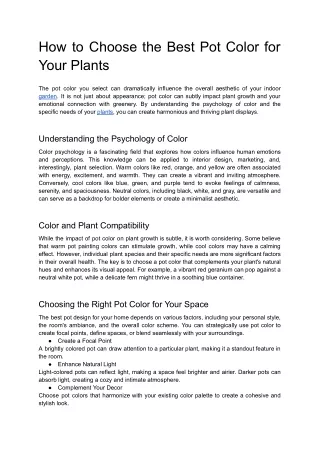 Best Pot Colors for Plants Enhance Growth & Aesthetics