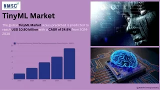 TinyML Market: Growth and Trends