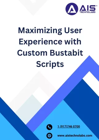 Maximizing User Experience with Custom Bustabit Scripts
