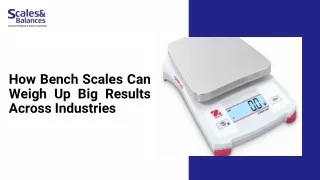 How Bench Scales Can Weigh Up Big Results Across Industries