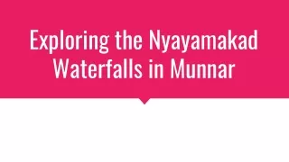 Exploring the Nyayamakad Waterfalls in Munnar