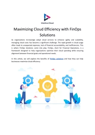 Finops Solution