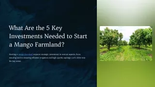 What Are the 5 Key Investments Needed to Start a Mango Farmland?