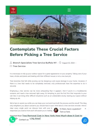 Contemplate These Crucial Factors Before Picking a Tree Service