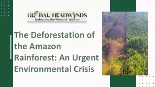 Deforestation of the Amazon Rainforest-Global Headwinds