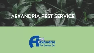 When Is A Pest Problem An Infestation