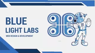 Atlanta Web Designing Company Blue Light Labs To Launch Cost-Efficient Offers