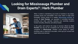 Looking for Mississauga Plumber and Drain Experts