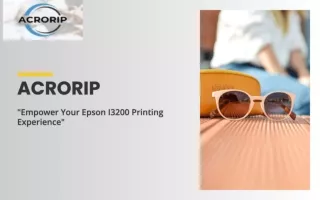 Power of Epson I3200 RIP for Superior Print Quality