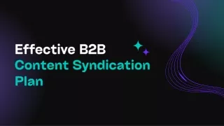 Comprehensive Guide to B2B Content Syndication Plan