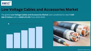 Low Voltage Cables and Accessories Market: Industry Analysis and Future Outlook
