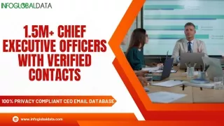 Boost Sales Leads with Our High-Response CEO Email Lists