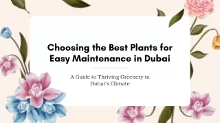 Choosing the Best Plants for Easy Maintenance in Dubai