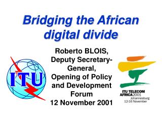 Bridging the African digital divide