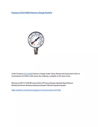 Everpure EV311409 Pressure Gauge PartsFe