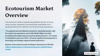 Ecotourism Market Market Overview