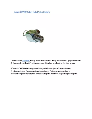 Groen Z097009 Safety Relief Valve PartsFe