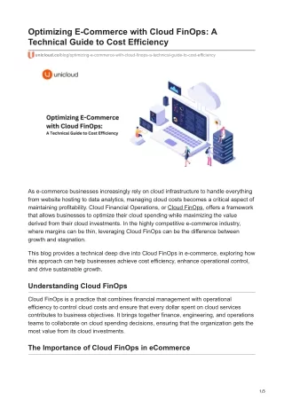 Optimizing E-Commerce with Cloud FinOps: A Technical Guide to Cost Efficiency
