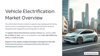 Vehicle Electrification Market Size, Share & Trends Analysis Report