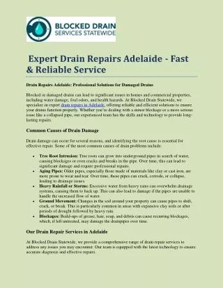 Expert Drain Repairs Adelaide - Fast & Reliable Service