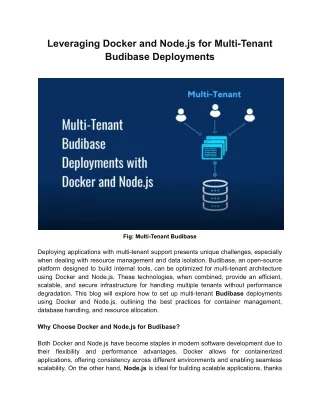 Docker & Node.js for Scalable Multi-Tenant Budibase Deployments