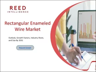 Rectangular Enameled Wire Market