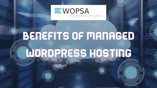 Benefits of Choosing WordPress Site Management Services for Your Website