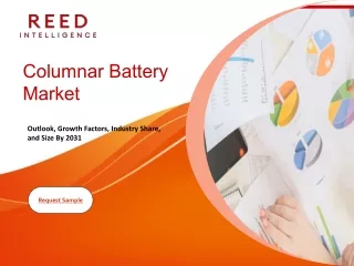 Columnar Battery Market