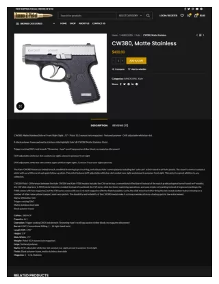 CW380, Matte Stainless - ammo2pistol.com