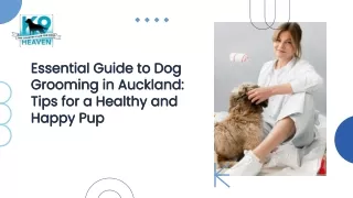 Essential guide to Dog Grooming in Auckland Tips for a Healthy and Happy Pup1