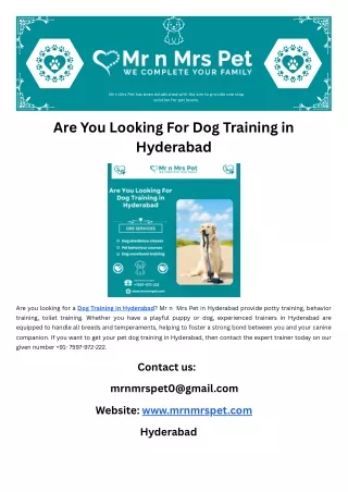 Are You Looking For Dog Training in Hyderabad