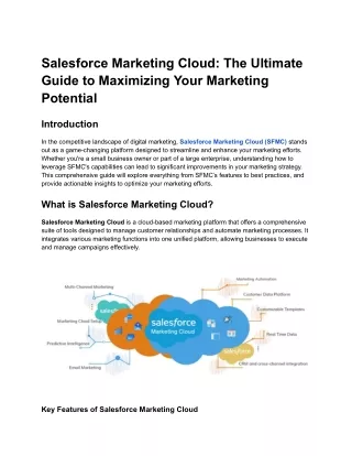 Salesforce Marketing Cloud_ The Ultimate Guide to Maximizing Your Marketing Potential