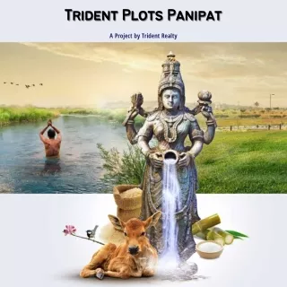 Trident Plots Panipat Brochure