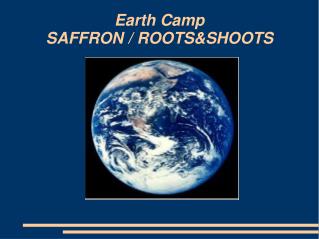 Earth Camp SAFFRON / ROOTS&amp;SHOOTS