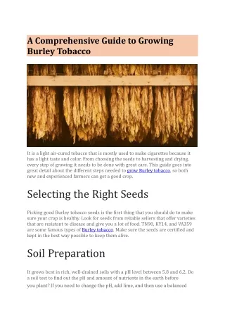 A Comprehensive Guide to Growing Burley Tobacco