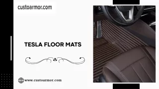 Tesla Floor Mats