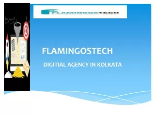 DIGITAL AGENCY IN KOLKATA - FLAMINGOSTECH