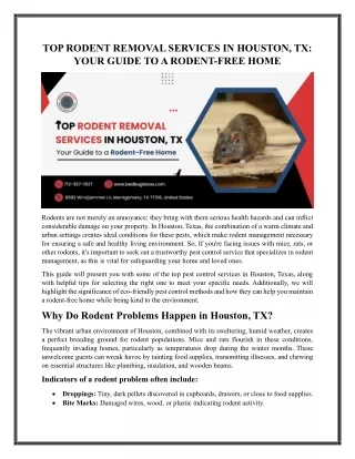Expert Rodent Exterminator Services in Texas