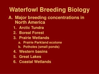 Waterfowl Breeding Biology