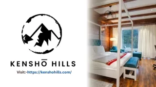 Luxury Villa in Manali