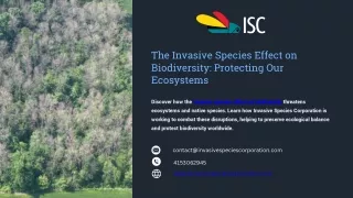 The Invasive Species Effect on Biodiversity Protecting Our Ecosystems