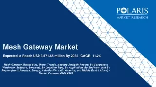 Mesh Gateway Market Size Estimation Research Report, 2024-2032