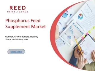 Exploring the Expanding Phosphorus Feed Supplement Market