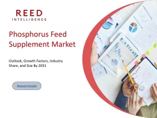 Phosphorus Feed Supplement Market: Key Insights and Opportunities