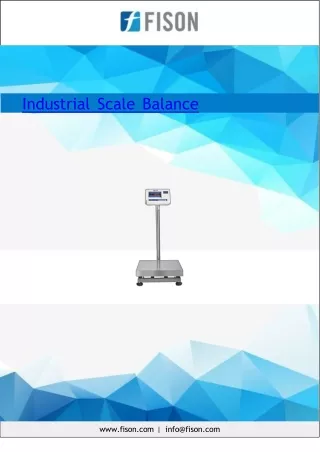Industrial Scale Balance 510 Kg