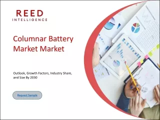 Columnar Battery Market Dynamics: Key Players, Technologies, and Future Prospect