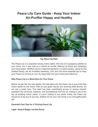 Peace Lily Care Guide - Keep Your Indoor Air-Purifier Happy and Healthy