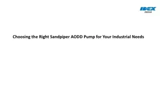 Choosing the Right Sandpiper AODD Pump for Your Industrial Needs