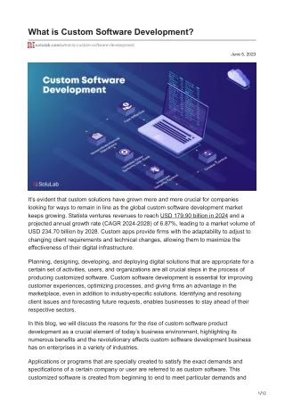 What is Custom Software Development
