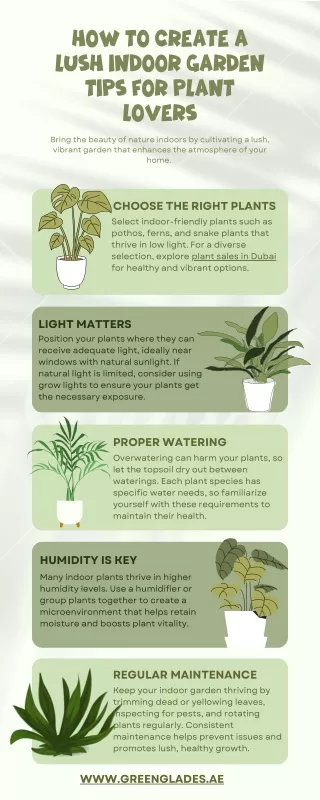 How to Create a Lush Indoor Garden Tips for Plant Lovers